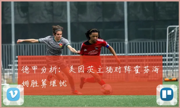 德甲分析：美因茨主场对阵霍芬海姆胜算堪忧